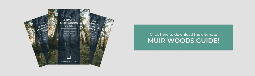 muir woods guide