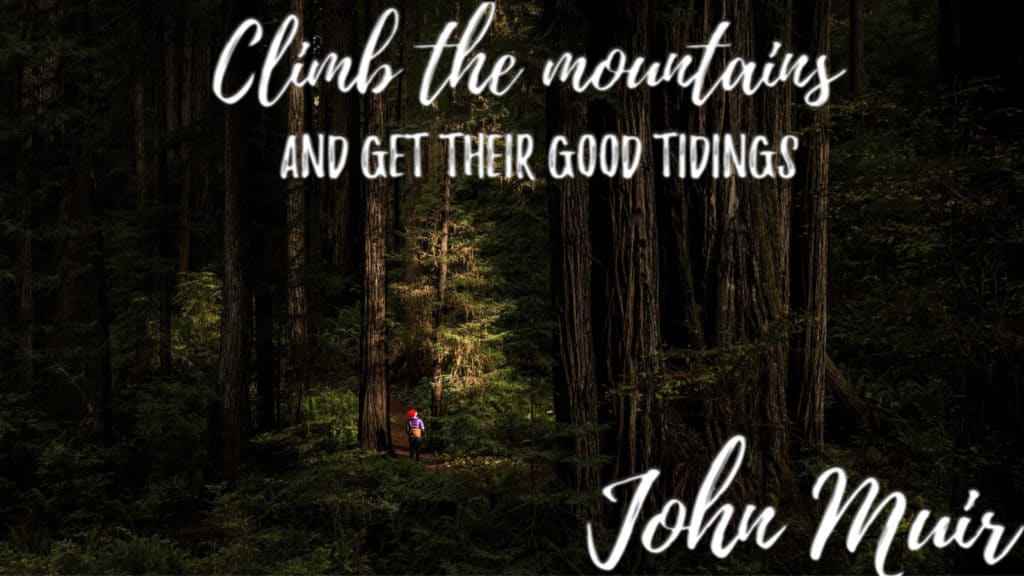 "climb the mountains and get their good tidings" john muir quote