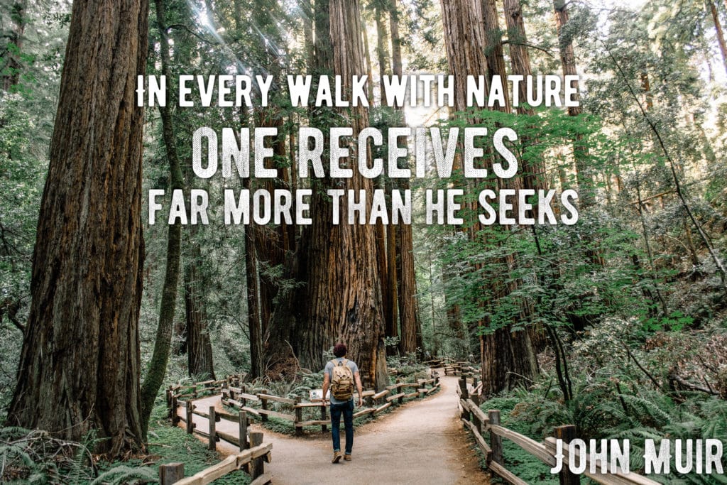 "in every walk with nature one receives far more than he seeks" john muir quote