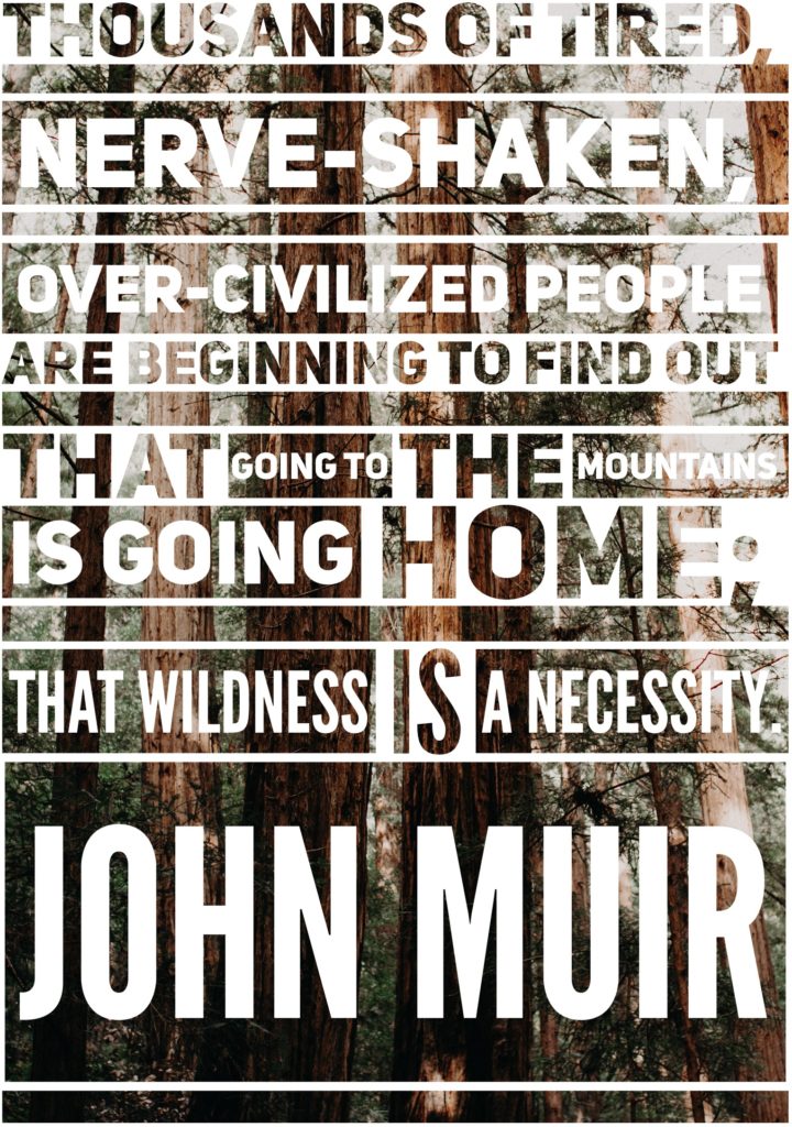 stylized john muir quote in white text