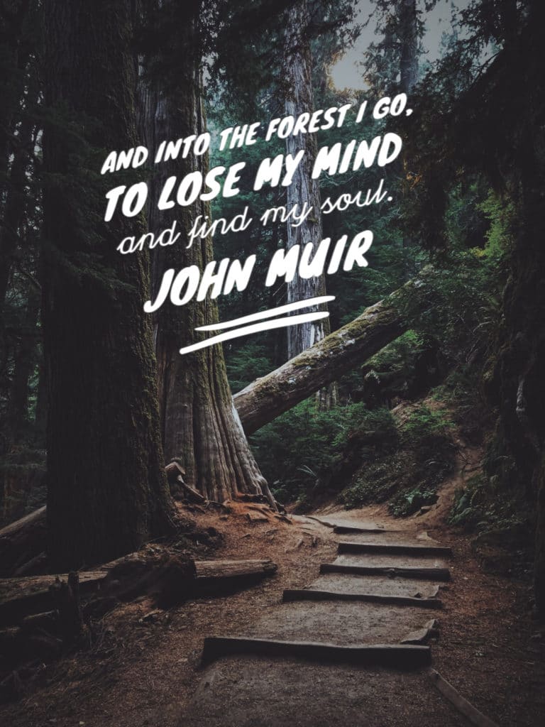 "and into the forest i go, to lose my mind and find my soul" john muir quote