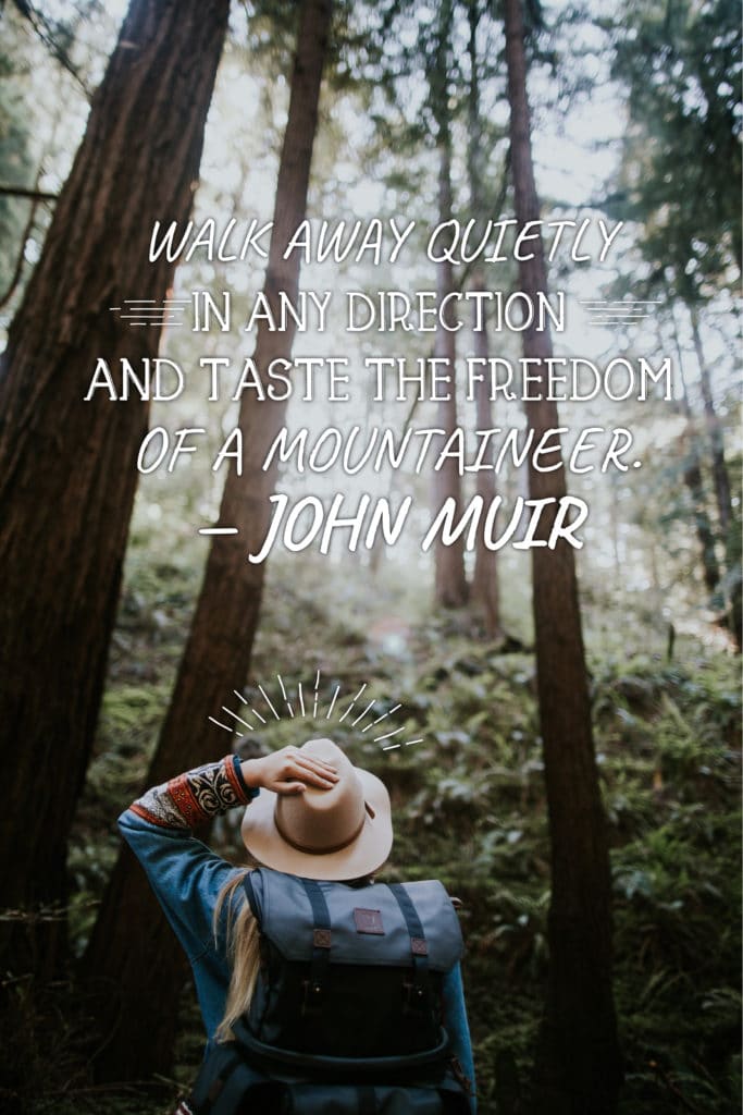 "walk away quietly in any direction and taste the freedom of a mountaineer" john muir quote