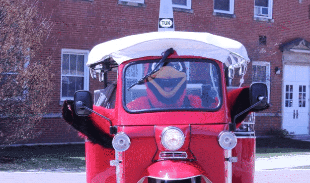 Tuk tuk tour in Naperville