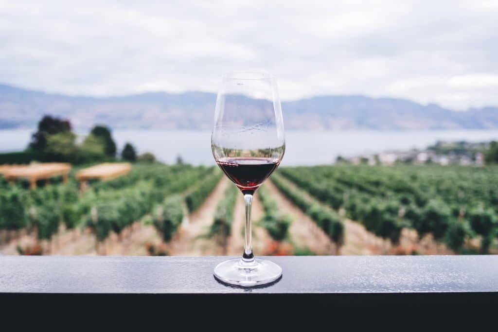sonoma wine country tour