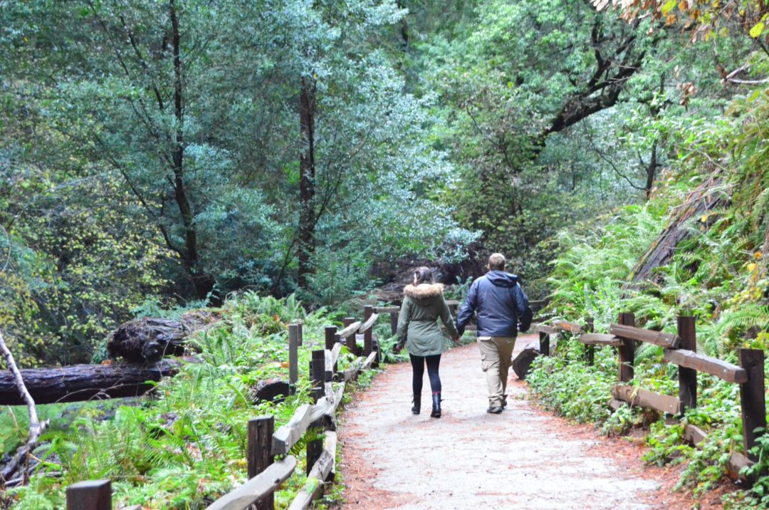 Muir Woods Shuttle