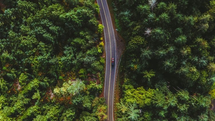 How to Take the Muir Woods Shuttle