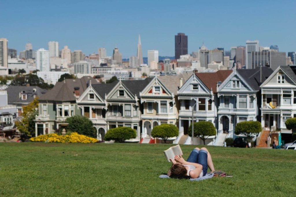person reading in the grass in front of the painted ladies