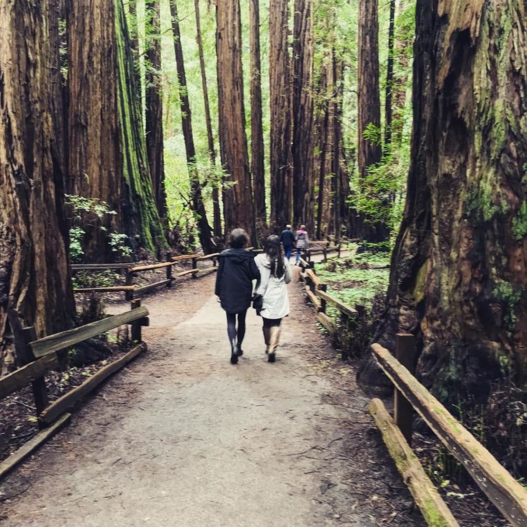 things to do in Muir Woods
