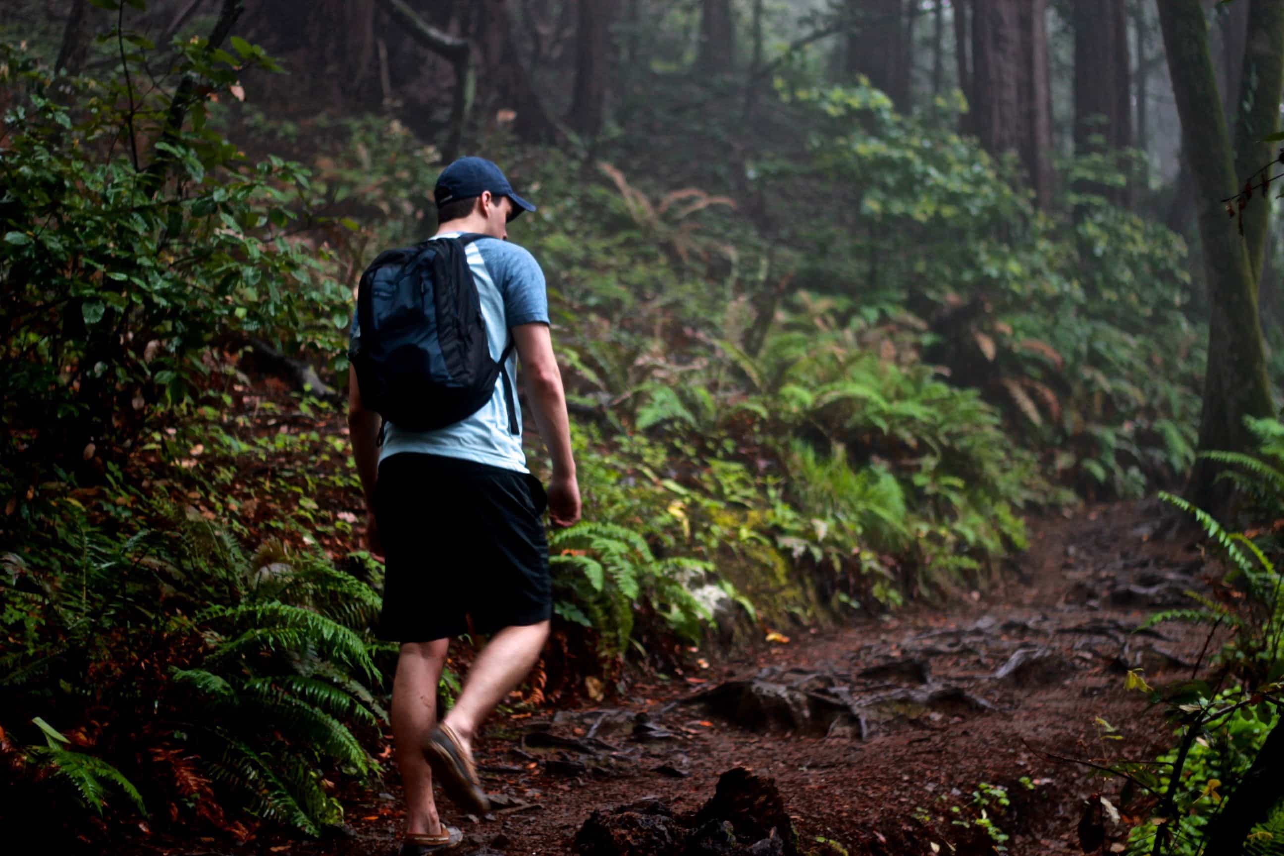 Best Muir Woods Tours