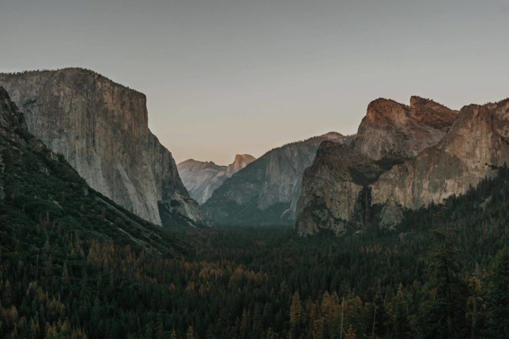 yosemite one day tour