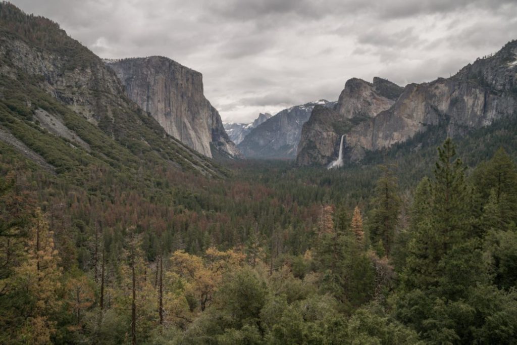 yosemite day trip