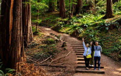 Muir Woods Trails: Map, Loop Times and Distances