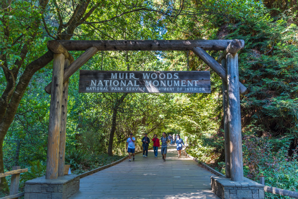 Muir Woods Shuttle Transportation