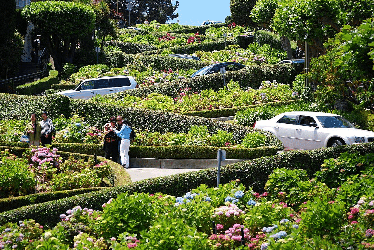 Drive down Lombard Street