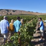 Group Vineyard Tour Napa Valley