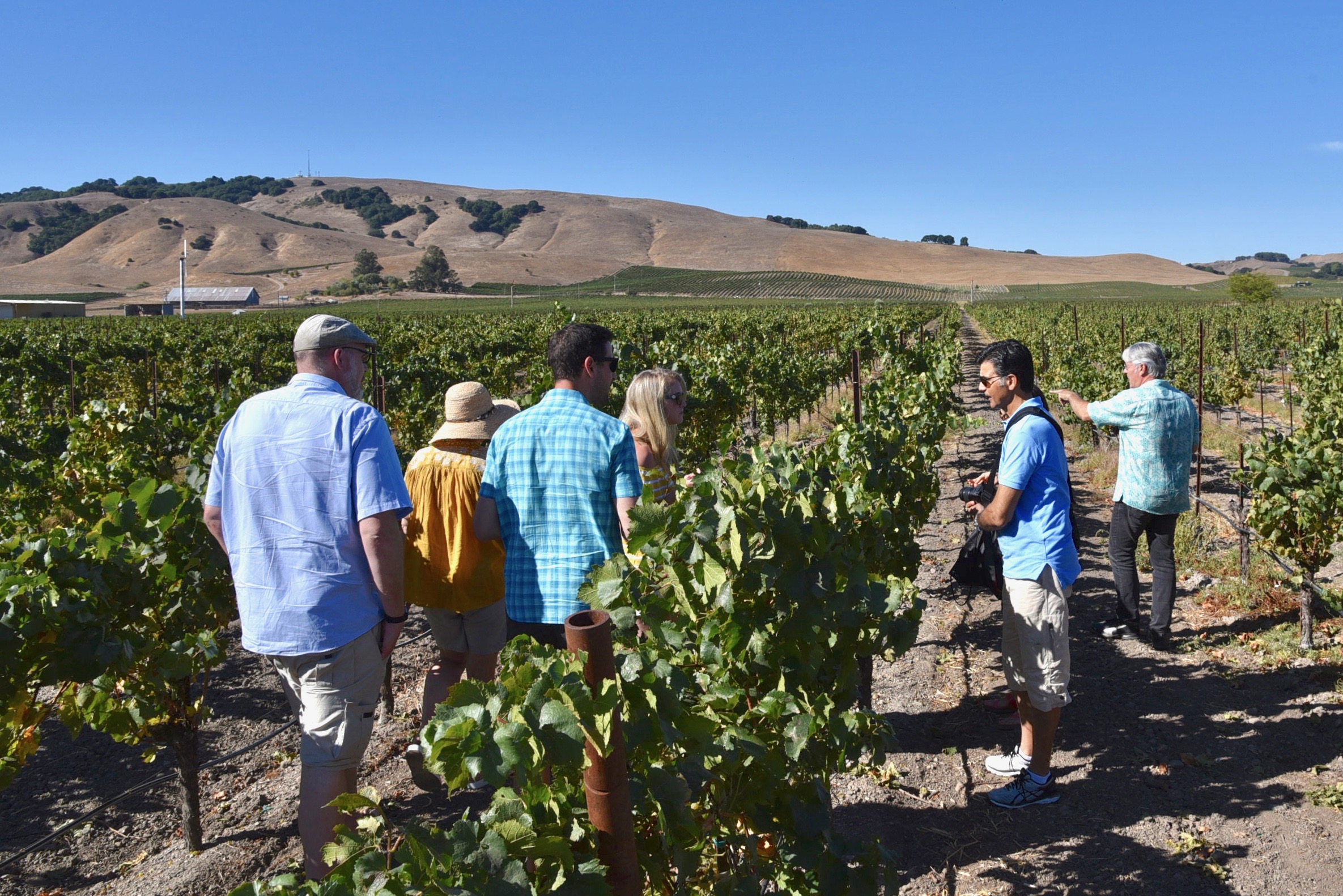 Group Vineyard Tour Napa Valley