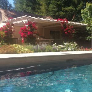 pool area of wine country vacation rental