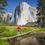 Hiking in Yosemite Meadows on Tour from San Francisco