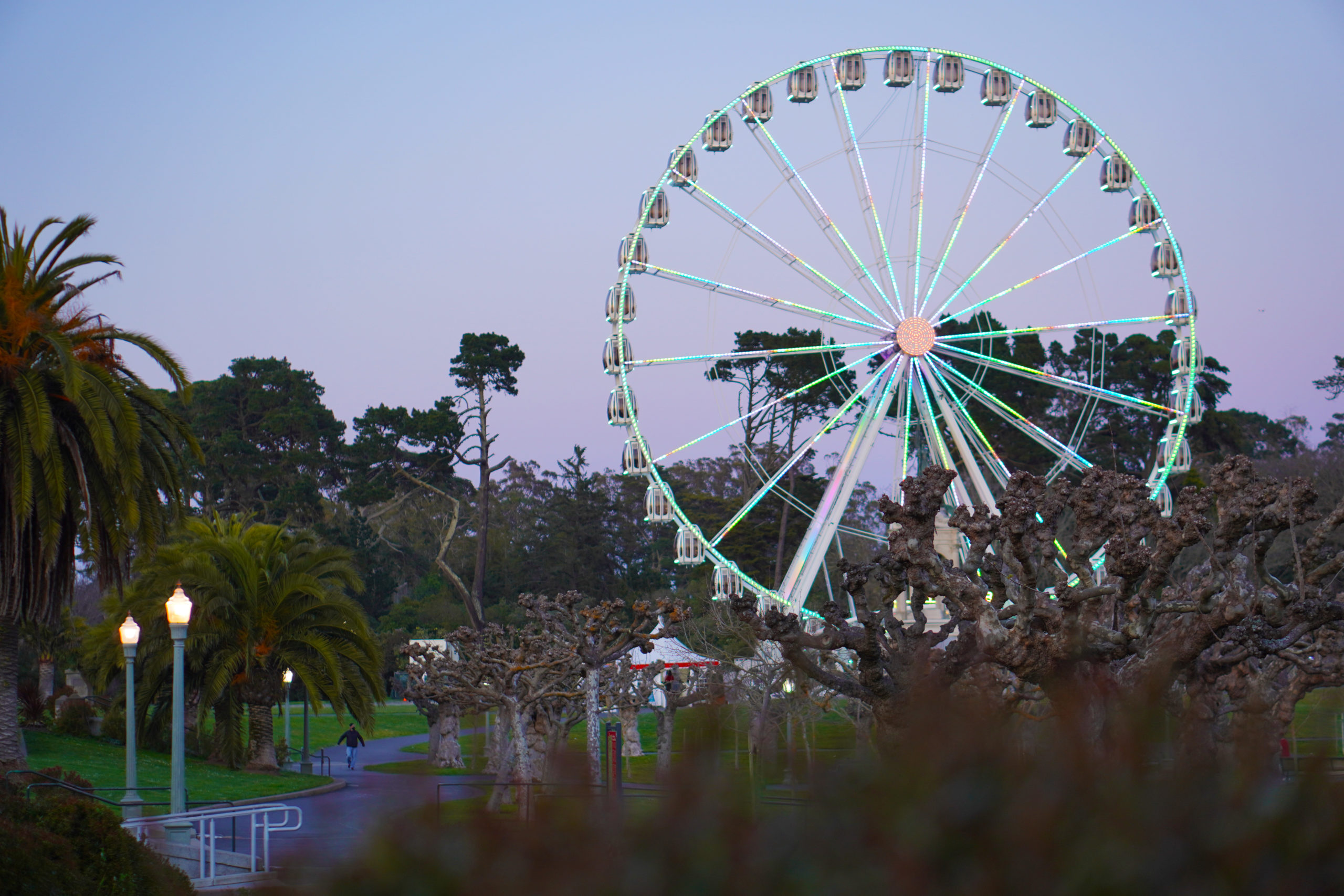 lit up ferris wheel in the evening light