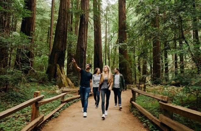 group walking through muir woods