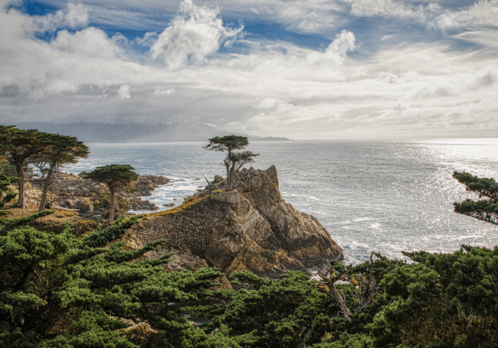 Dylan's Famous Tour to Carmel and Monterey from San Francisco