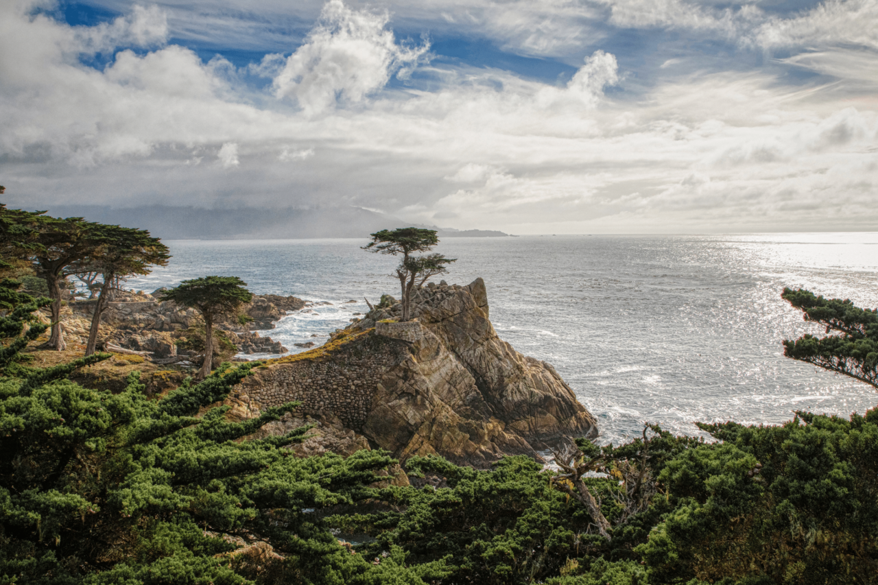 How to Get from San Francisco to Monterey