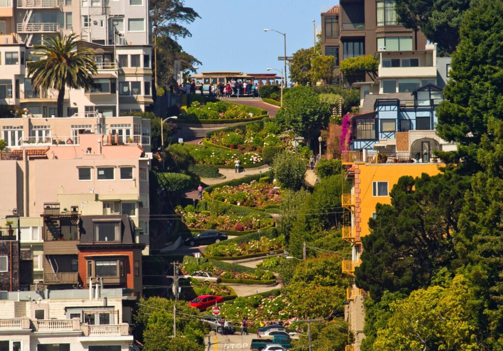 greenery climbing up lombard street