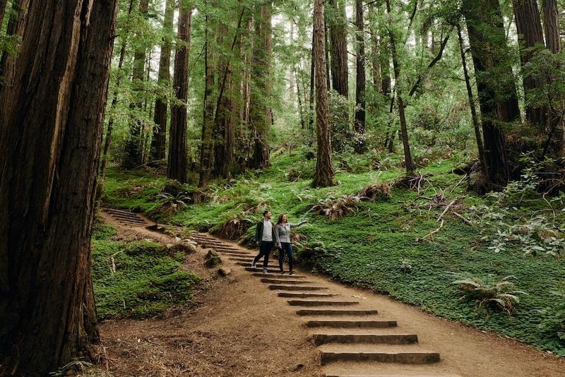 two people walking down stairs on muir woods trail