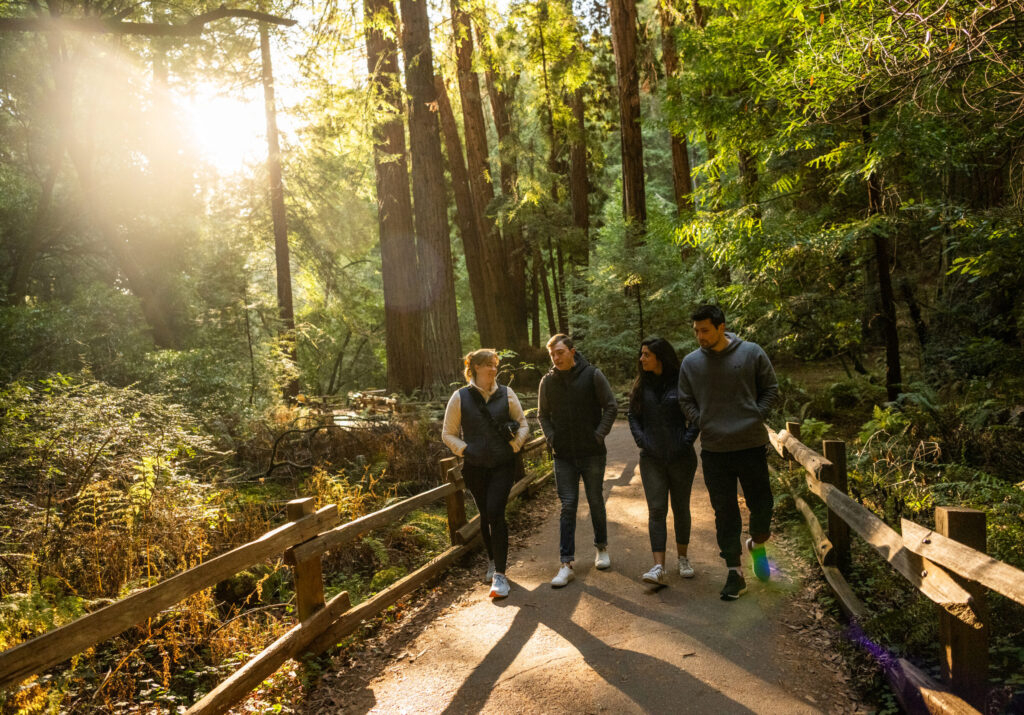 Muir Woods from San Francisco