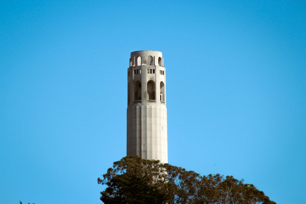 Coit Tower through the trees