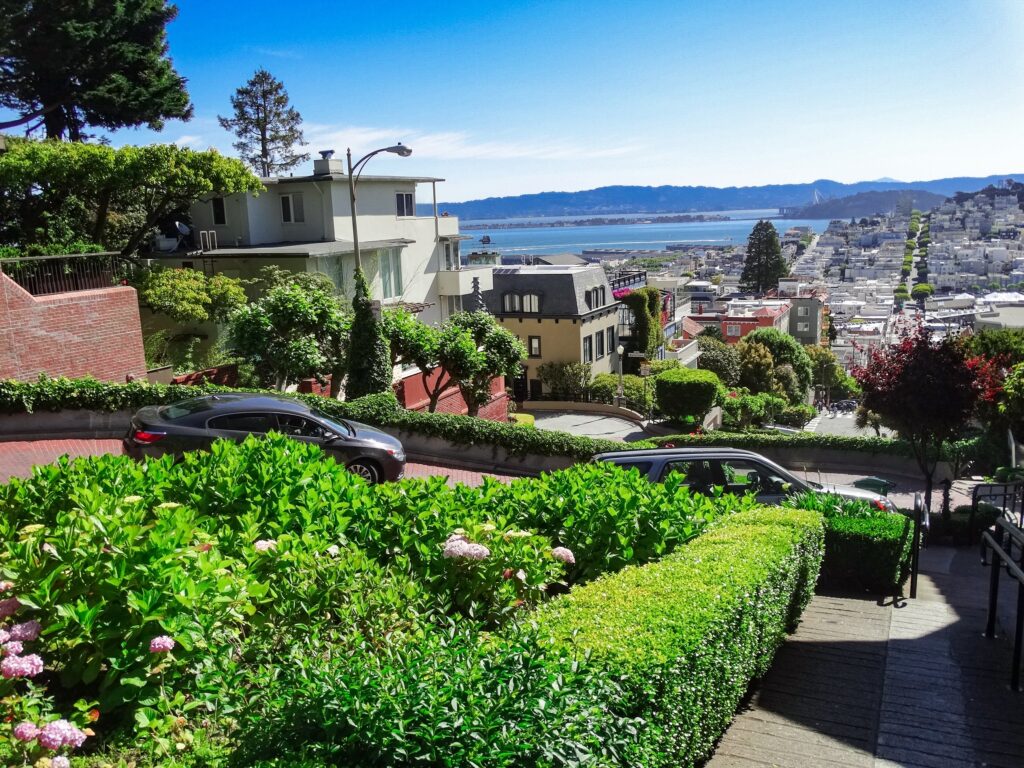 Lombard Street Views