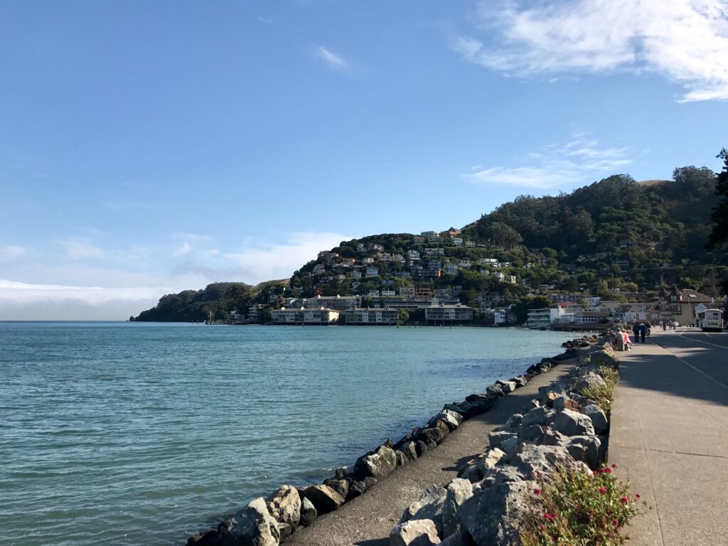 Sausalito Coastline