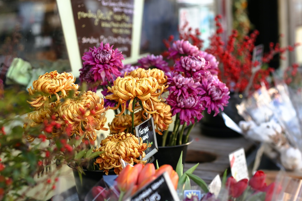 Locally Grown Flowers