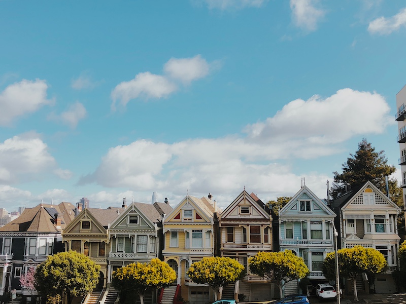 Painted Ladies