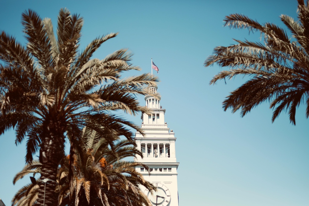 Palm Tress with the Iconic Ferry Building