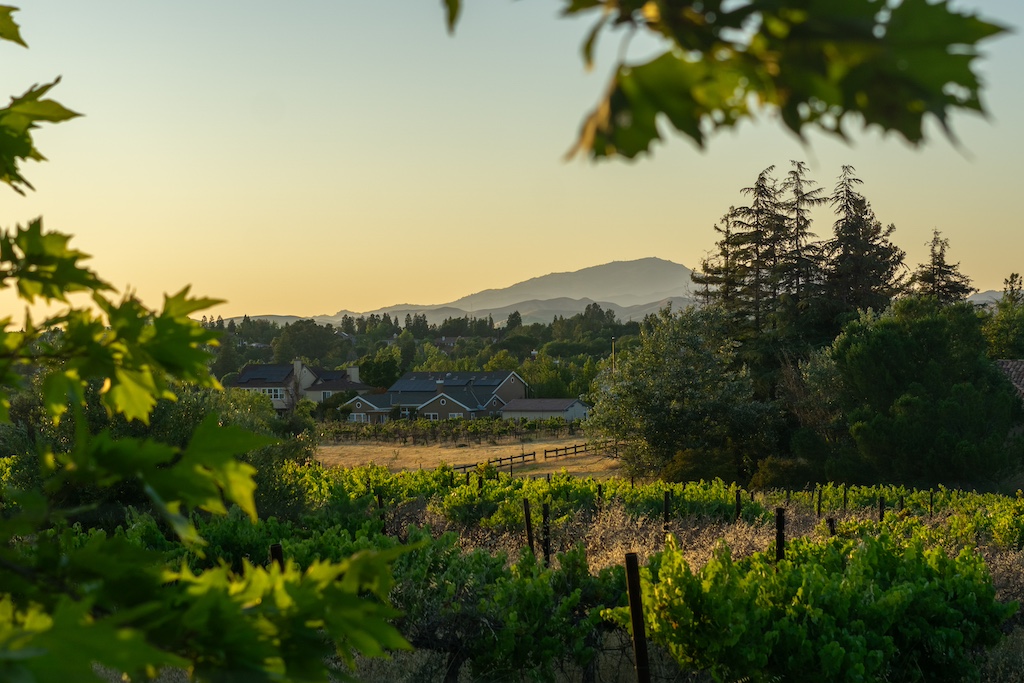 Napa and Sonoma Wine Country