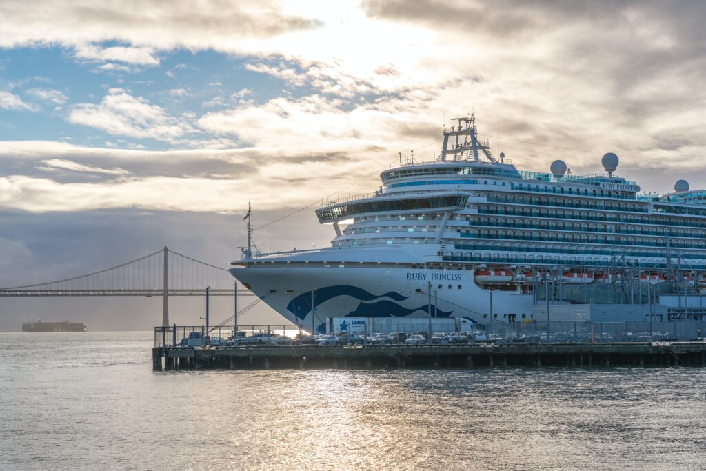 Large Cruise Ship