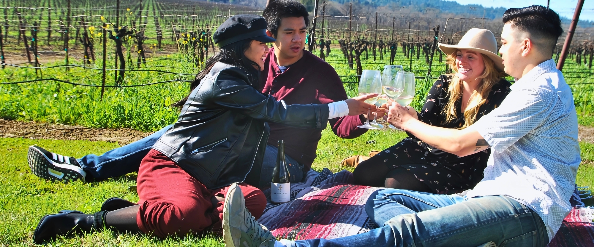 Two couples sitting in a vineyard enjoying a wine tour in Napa Valley