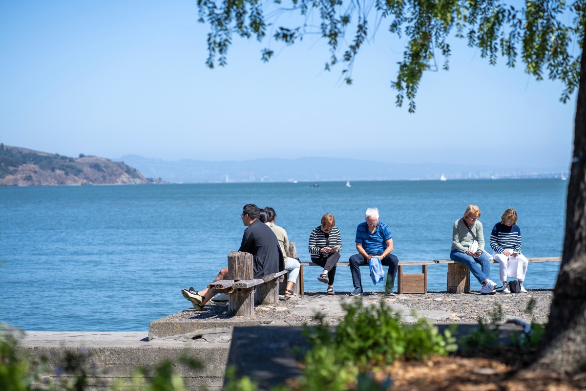 Group of people sitting on wooden benches overlooking a blue bay with distant hills, small sailboats, and tree branches framing the scene