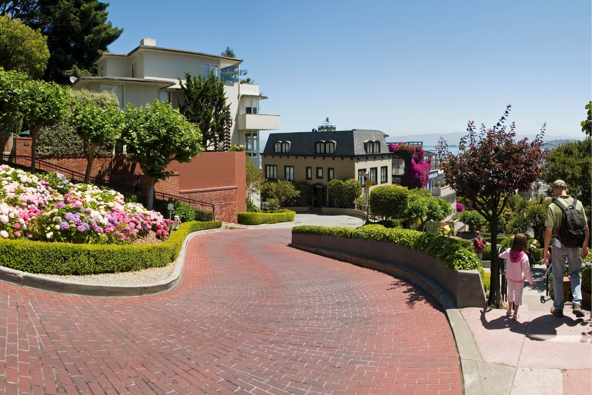 Winding red brick road of Lombard Street featuring colorful hydrangeas, manicured hedges, luxury homes, and visitors enjoying the scenic San Francisco landmark