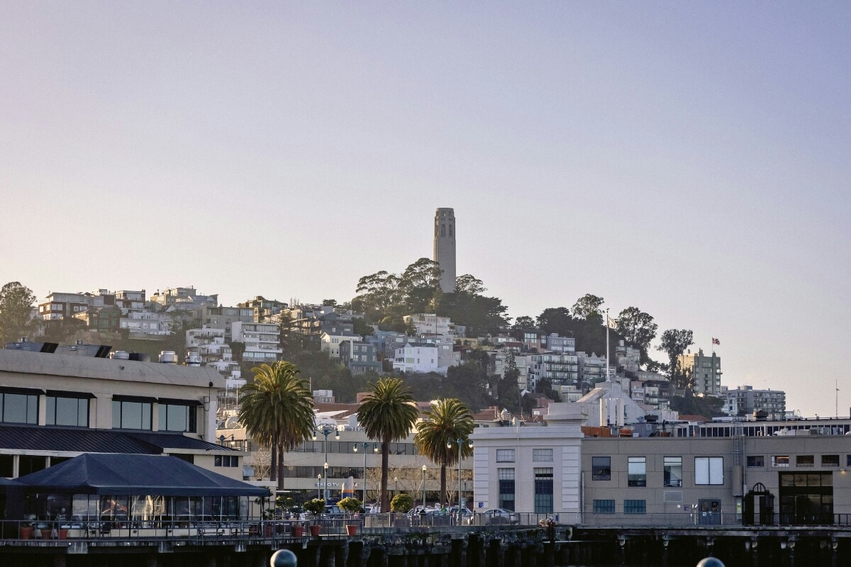 Coit Tower on Telegraph Hill at sunset with palm trees and waterfront buildings