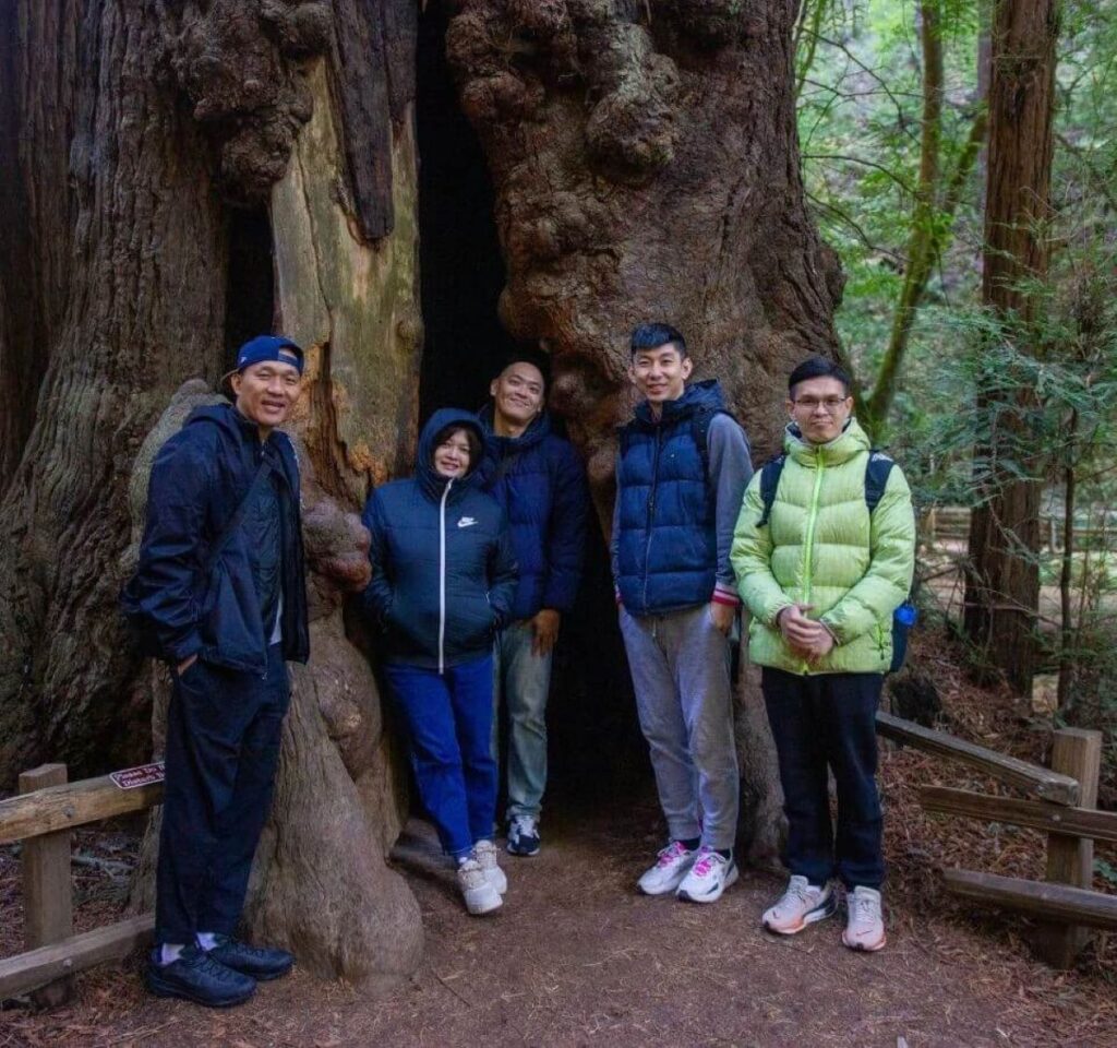 Giant redwood trees towering over a forest trail, captured during Dylan’s Famous Tour, with soft sunlight filtering through the canopy—part of the combined experience with an Alcatraz visit.