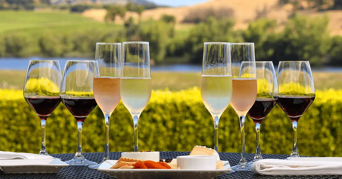 A collection of wine bottles with a scenic view of Napa Valley in the background.