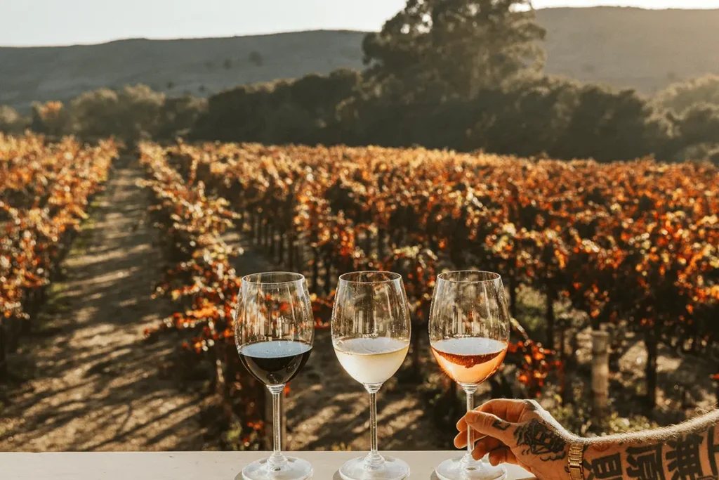 Three glasses of wine on a table with a scenic vineyard in the background