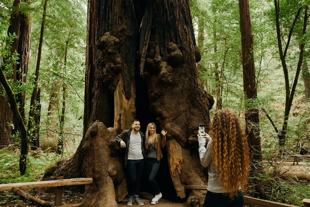 Couple posing for a photo in Muir Woods while a friend takes their picture among the redwoods
