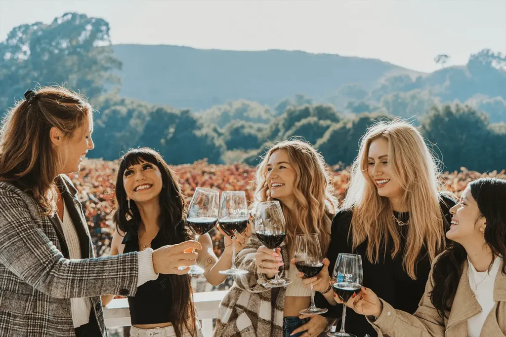 Group of women toasting glasses of wine at a vineyard in Napa Valley