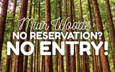WARNING: Muir Woods Reservations Required Now