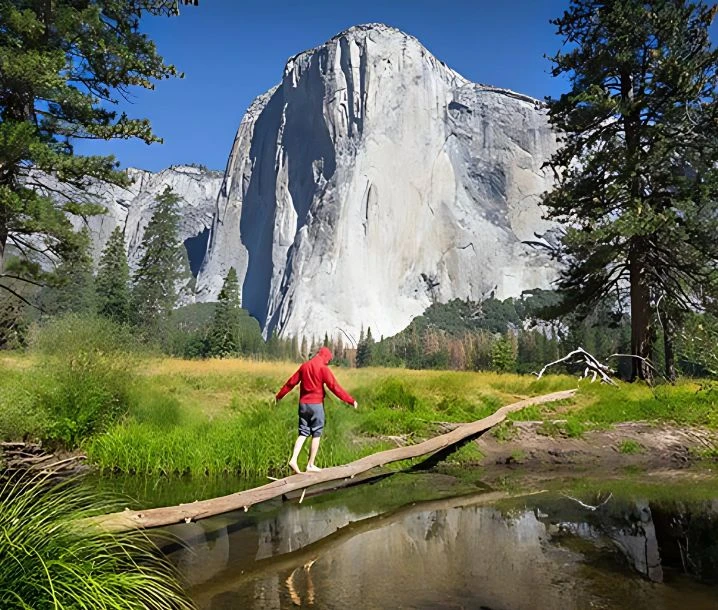 Yosemite El Capitan Dylan's Tours nature guide