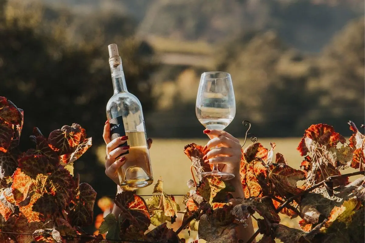 Two hands rise from behind vibrant autumn grapevines, one holding a bottle of white wine and the other a filled wine glass, against a blurred background of rolling hills and soft sunlight.