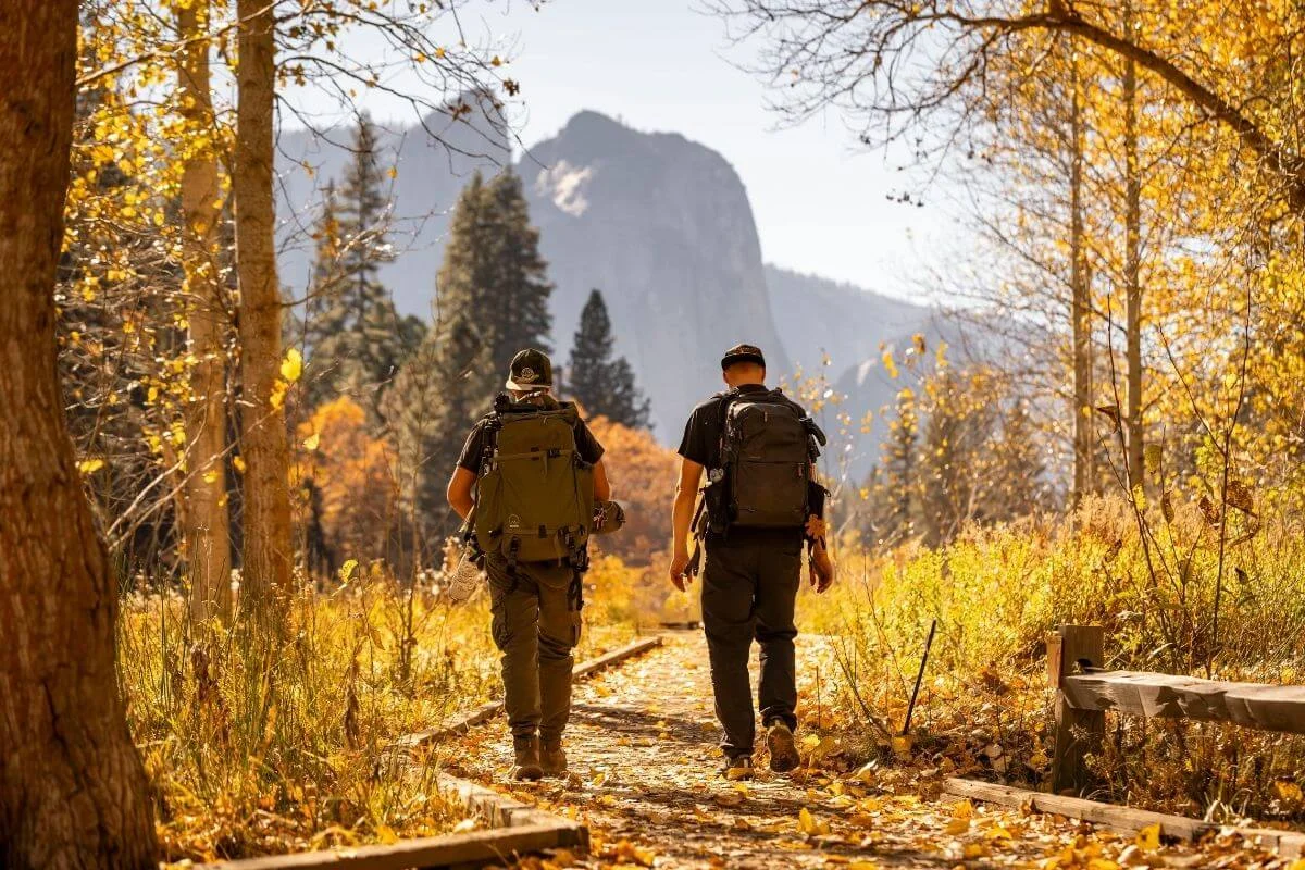 Two hikers walking along a forest trail with autumn leaves and mountain views in Yosemite National Park